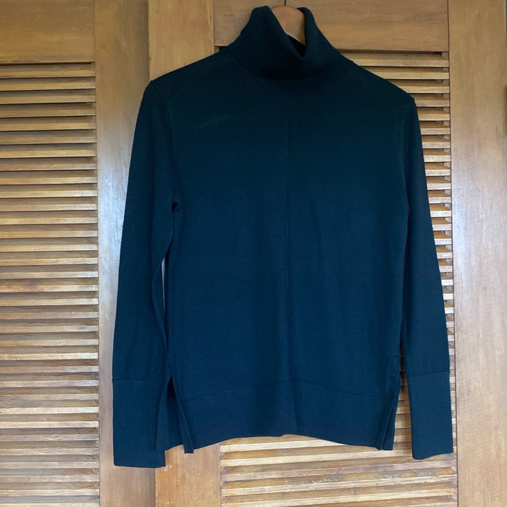 Banana Republic Merino Wool Turtleneck Seeater